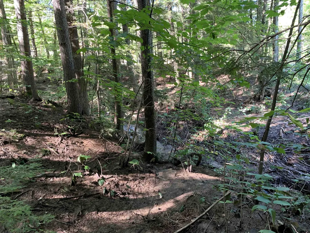 33 Grison Road Madison NH 03849