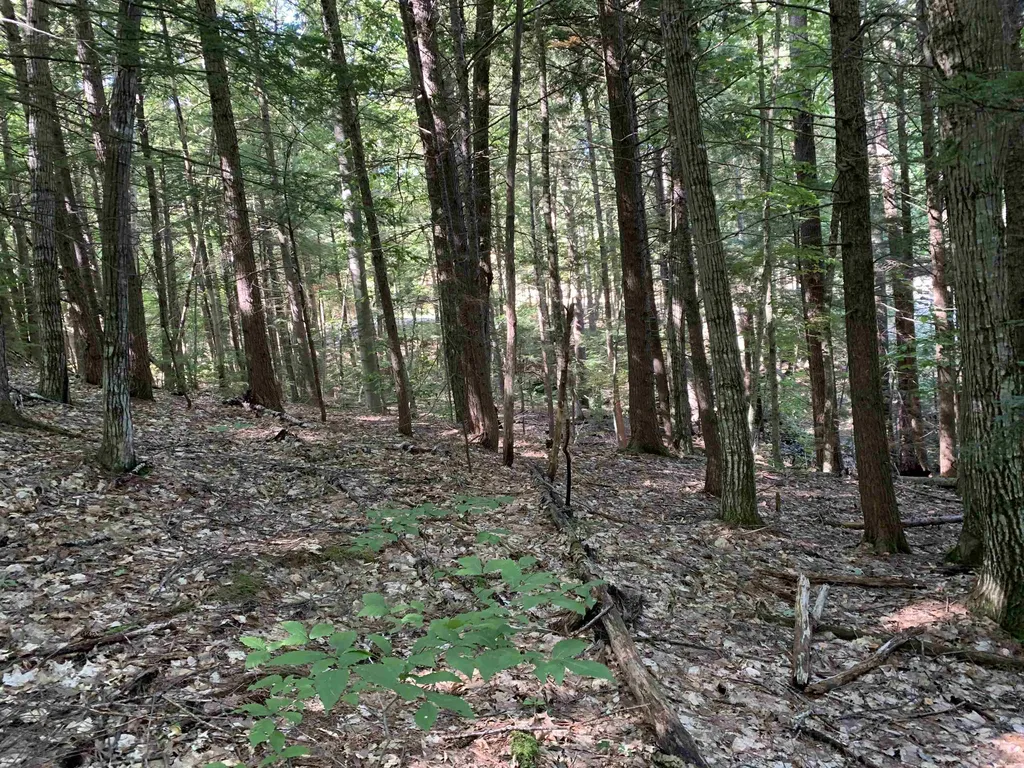 33 Grison Road Madison NH 03849