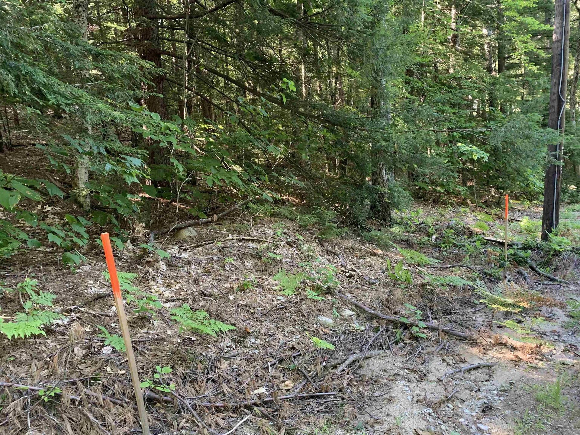33 Grison Road Madison NH 03849