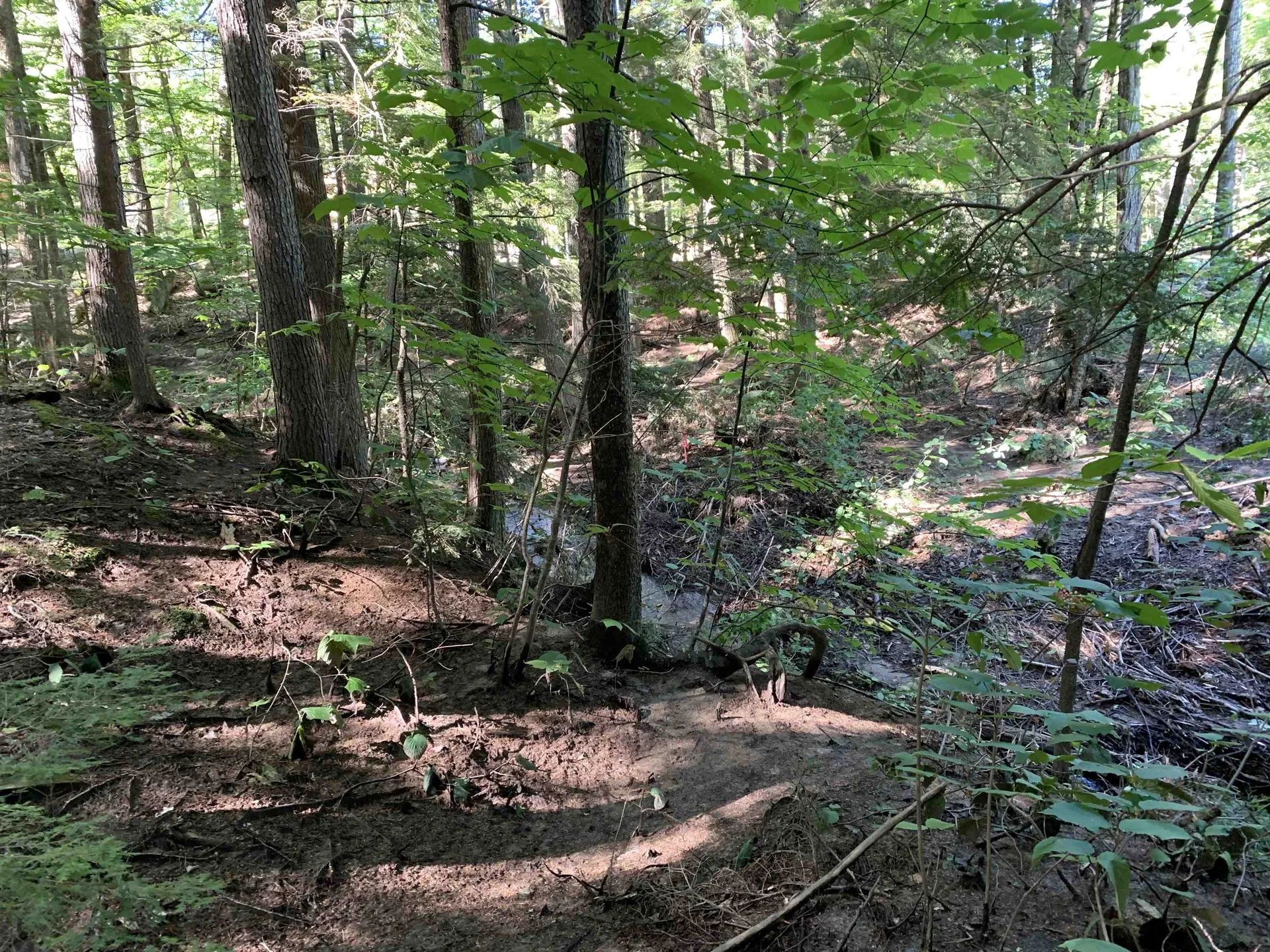 33 Grison Road Madison NH 03849