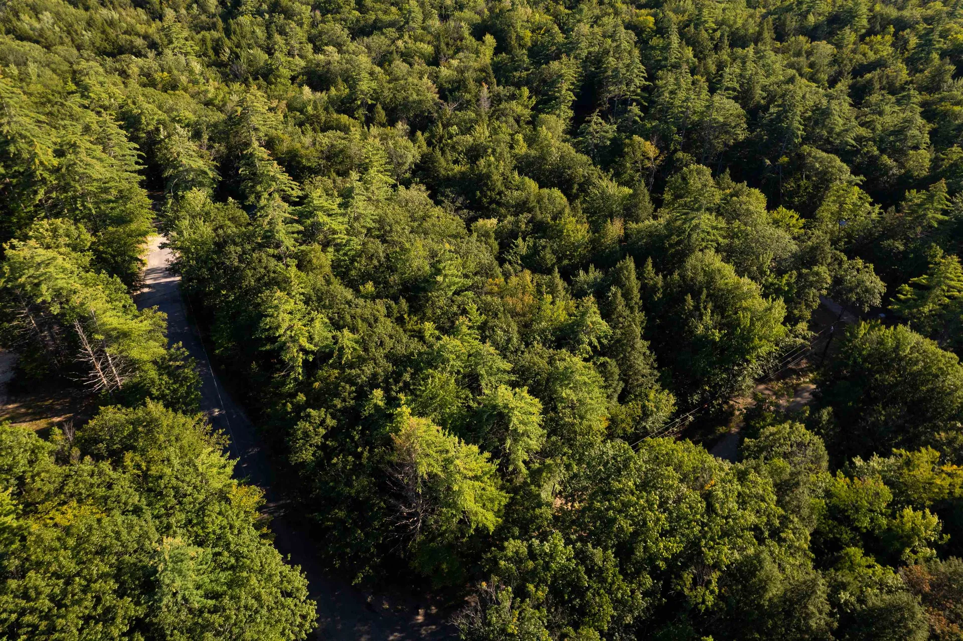 33 Grison Road Madison NH 03849