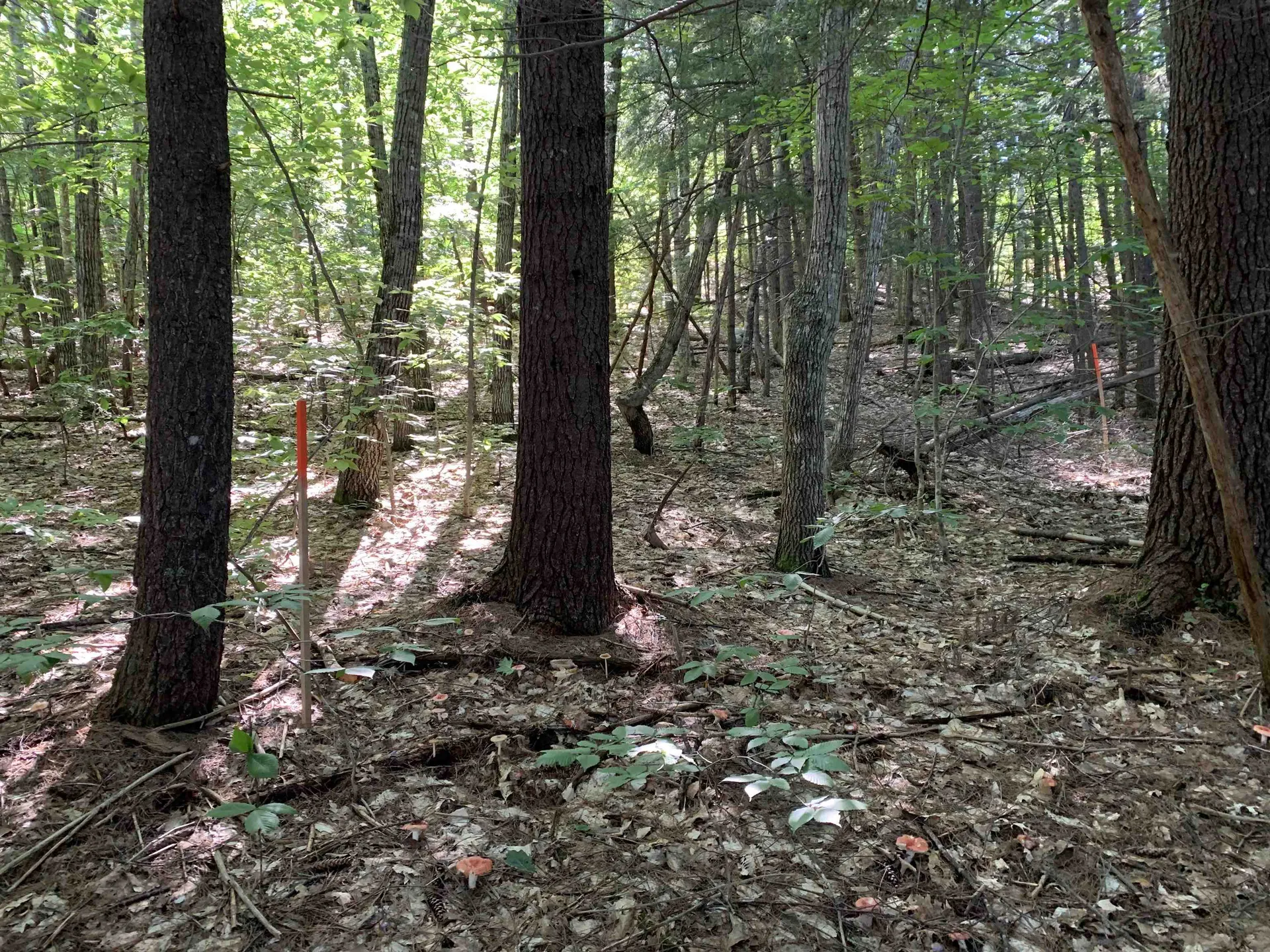 33 Grison Road Madison NH 03849