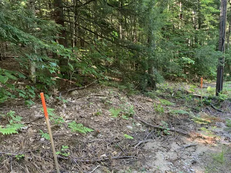 33 Grison Road Madison NH 03849