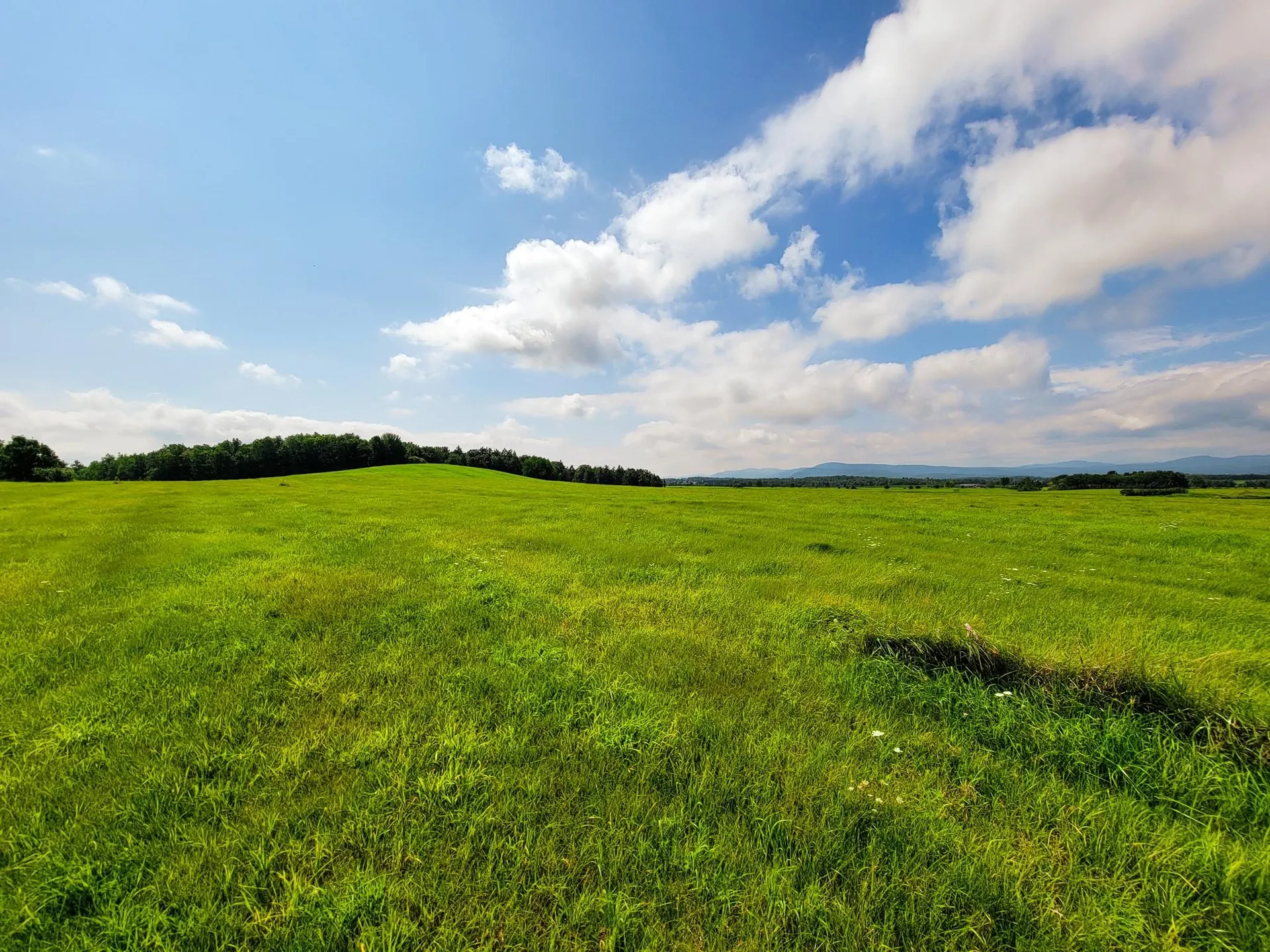 1749 Middle Road Bridport VT 05734