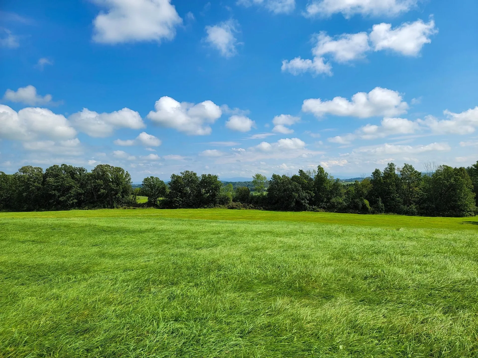 1749 Middle Road Bridport VT 05734