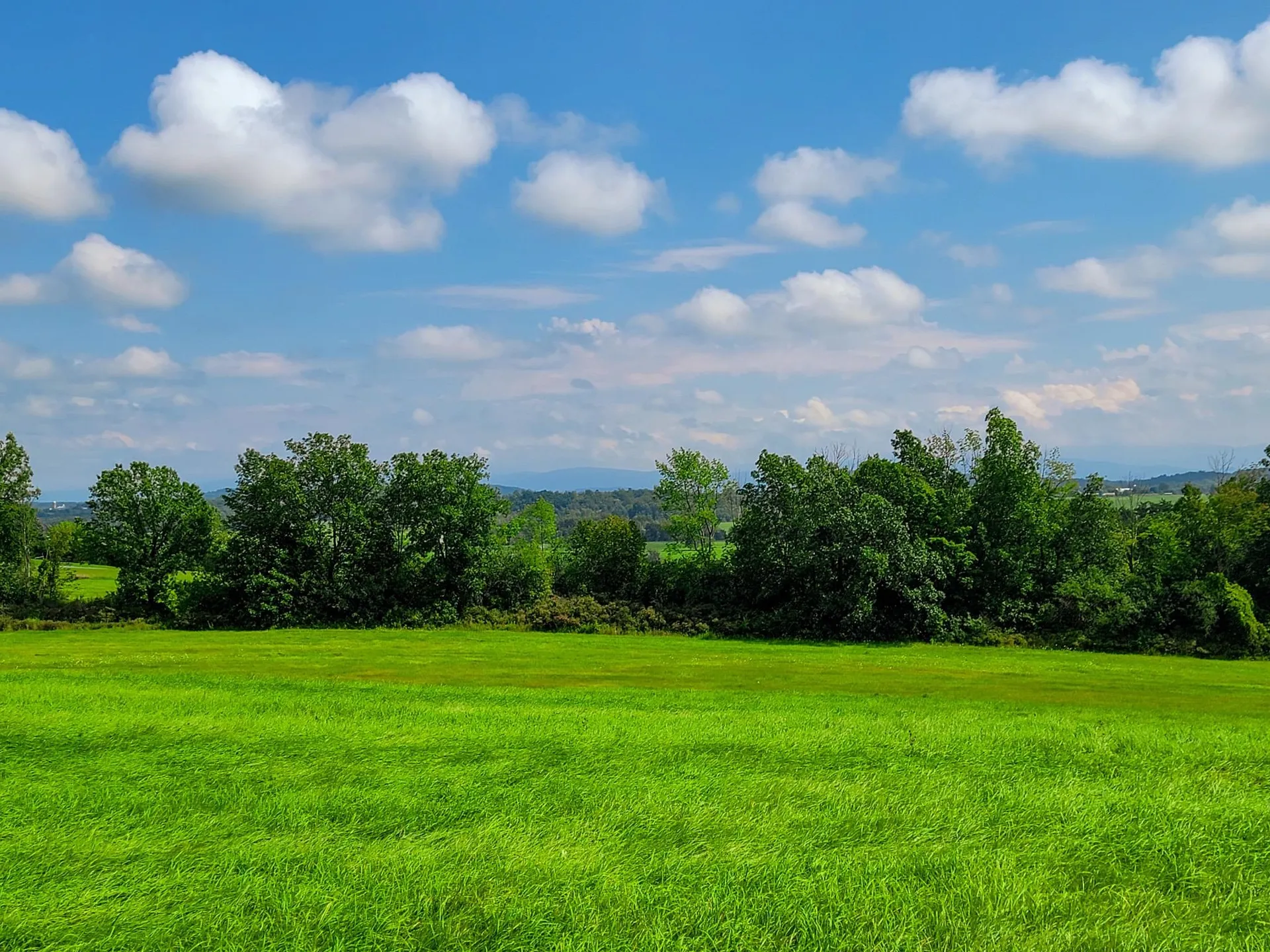 1749 Middle Road Bridport VT 05734