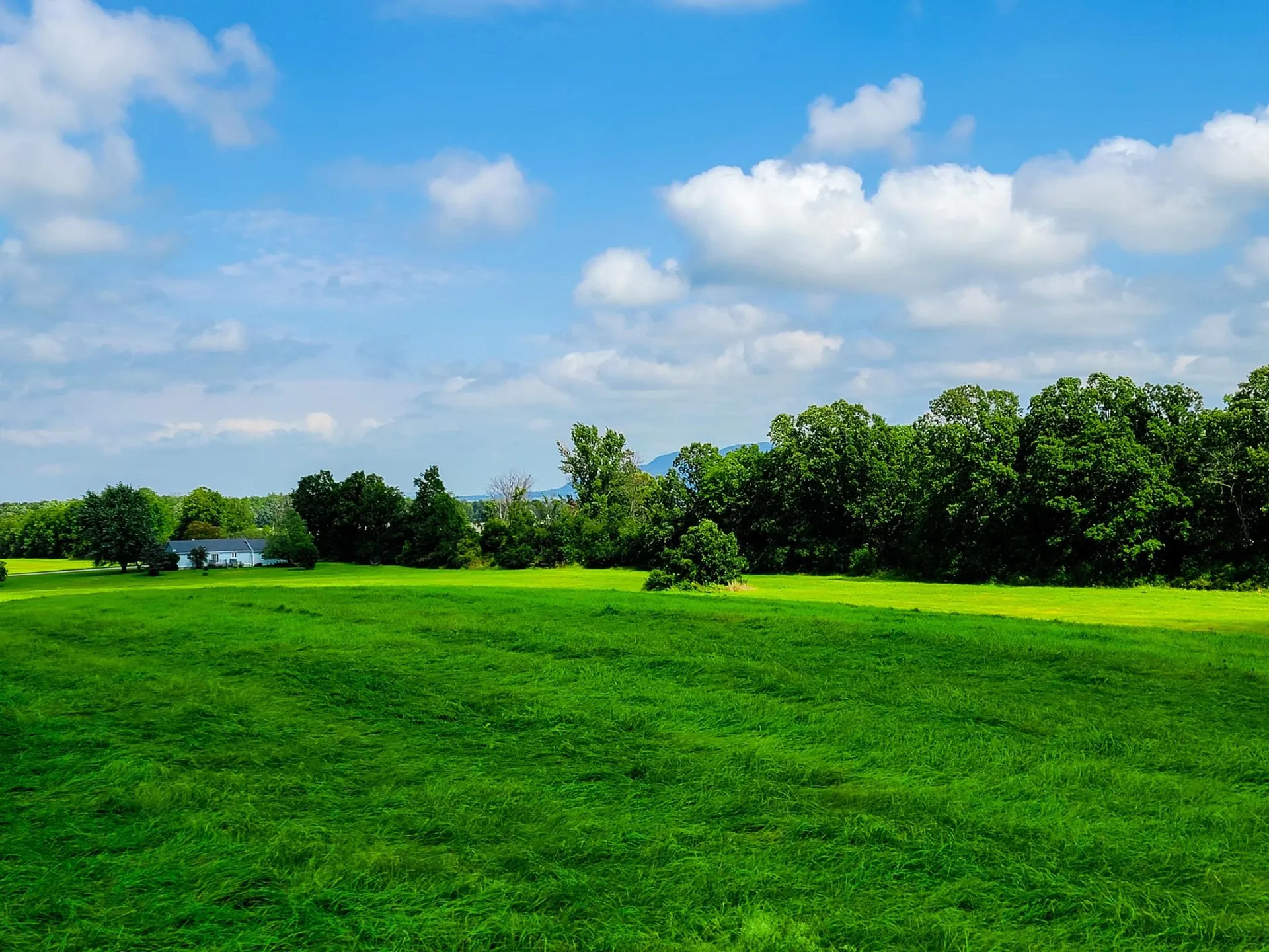 1749 Middle Road Bridport VT 05734