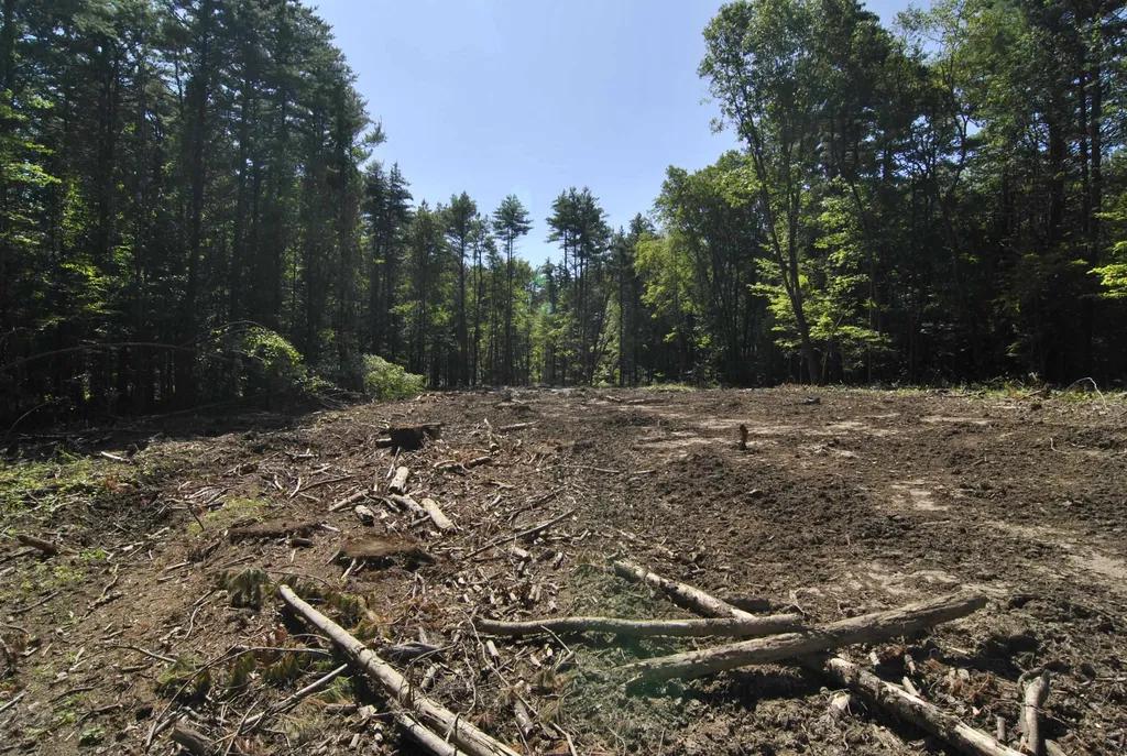 Lot 40 Cross Road Hooksett NH 03106
