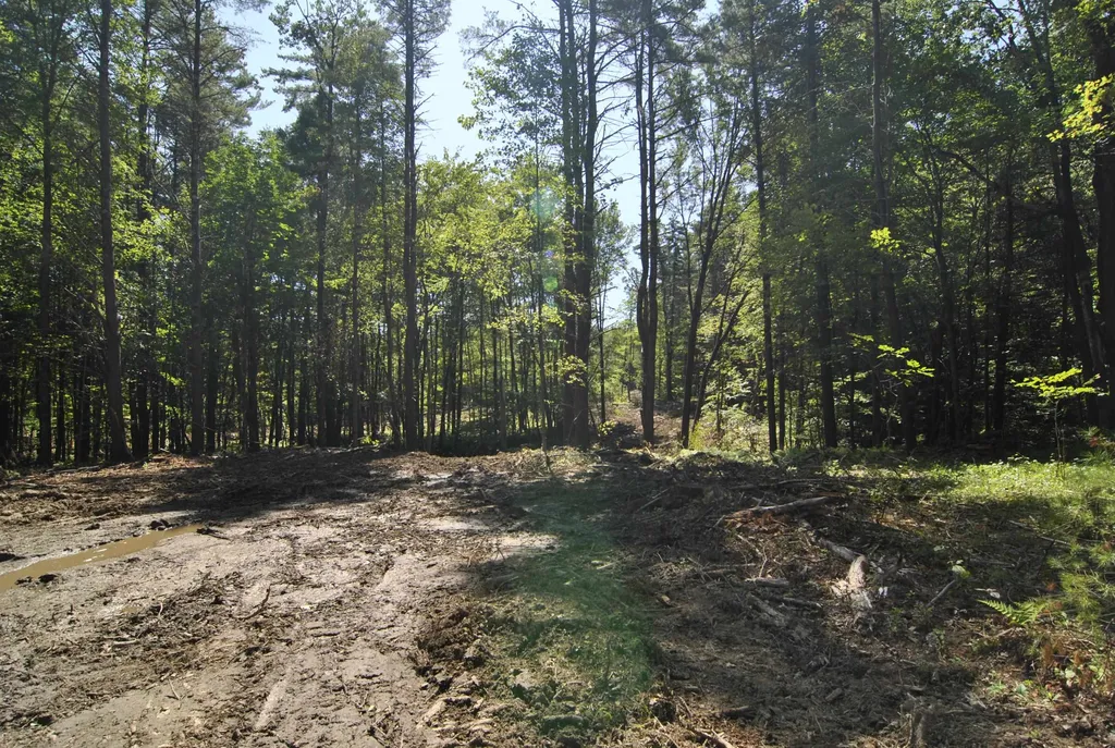 Lot 40 Cross Road Hooksett NH 03106