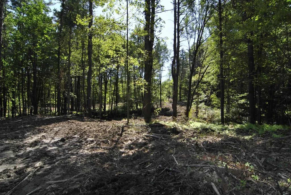 Lot 40 Cross Road Hooksett NH 03106