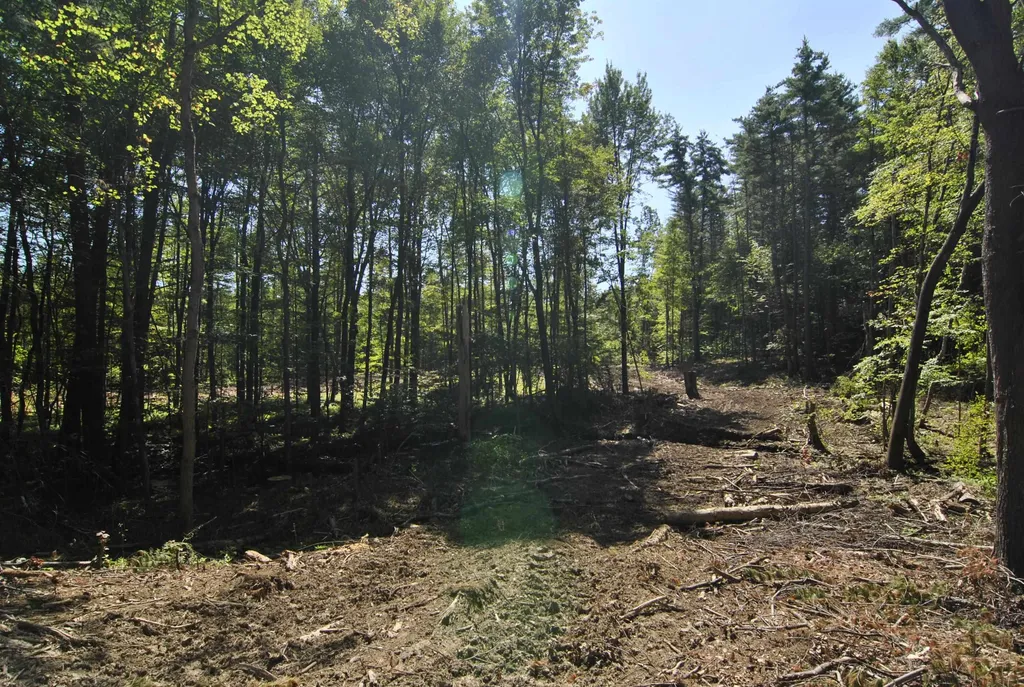 Lot 40 Cross Road Hooksett NH 03106
