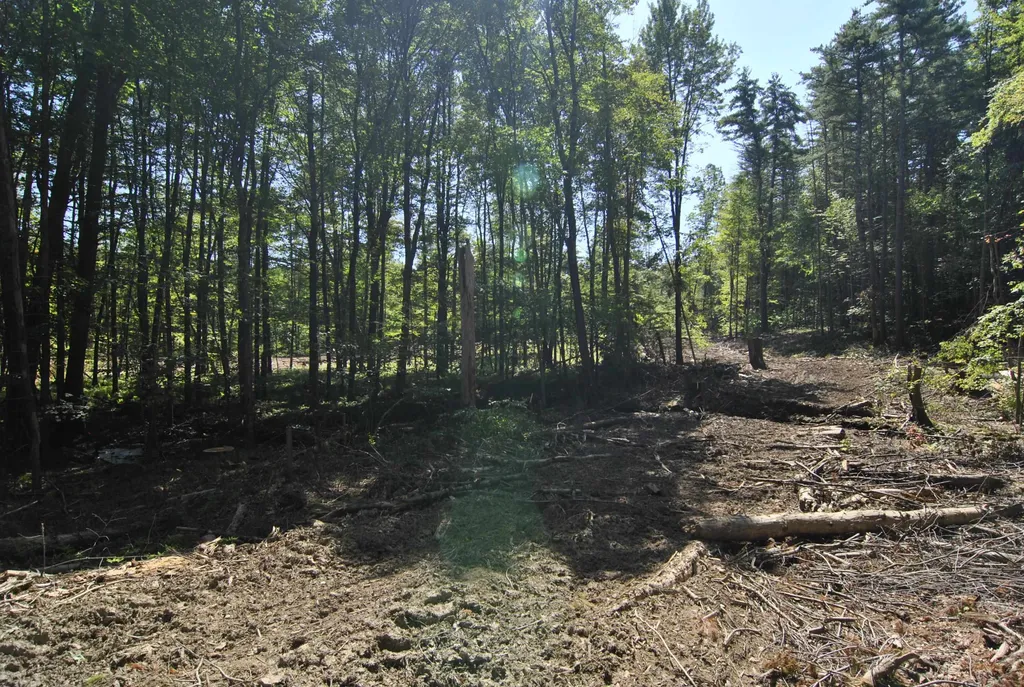 Lot 40 Cross Road Hooksett NH 03106
