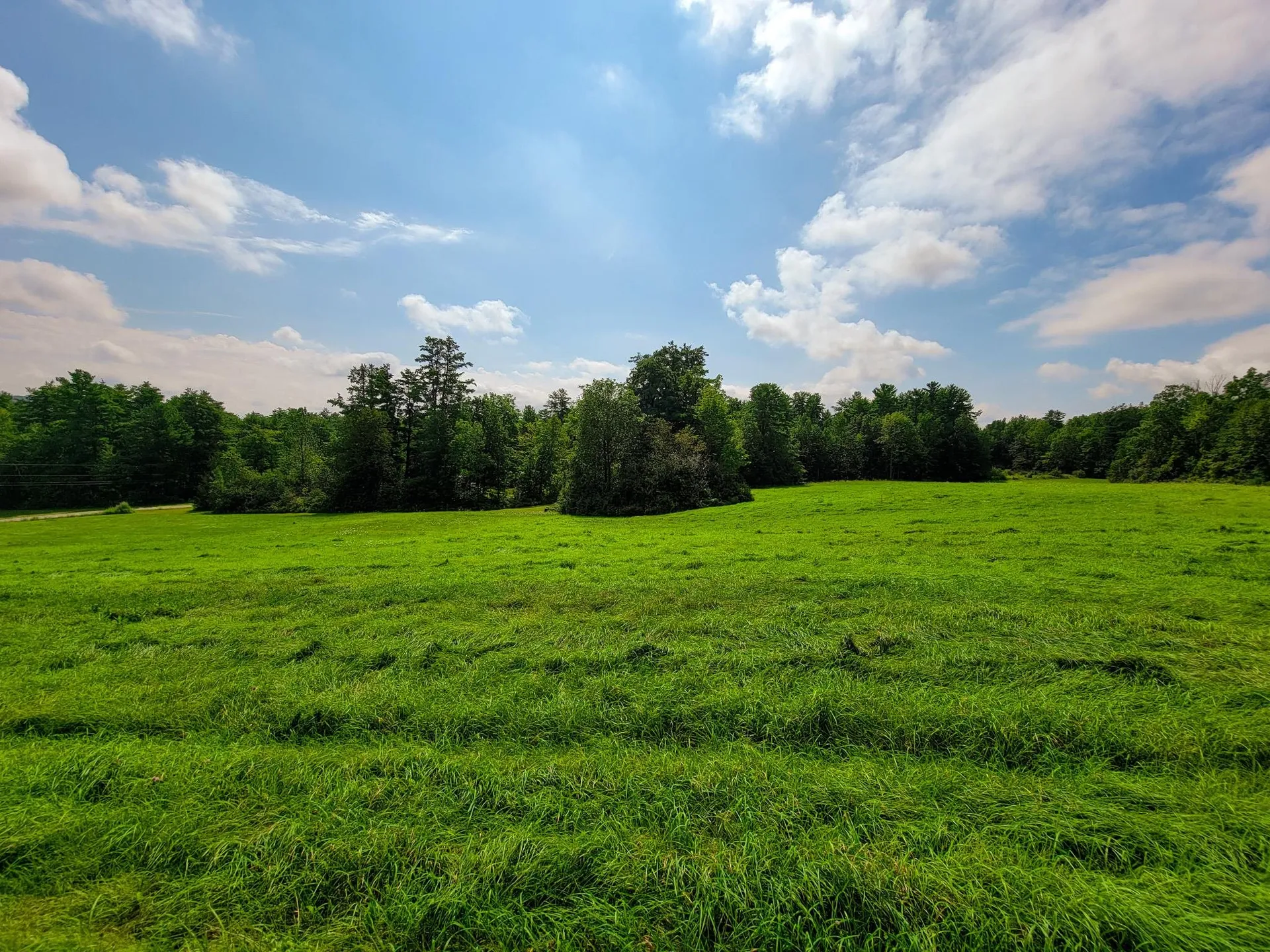 260 Sugar Hill Drive Bridport VT 05734