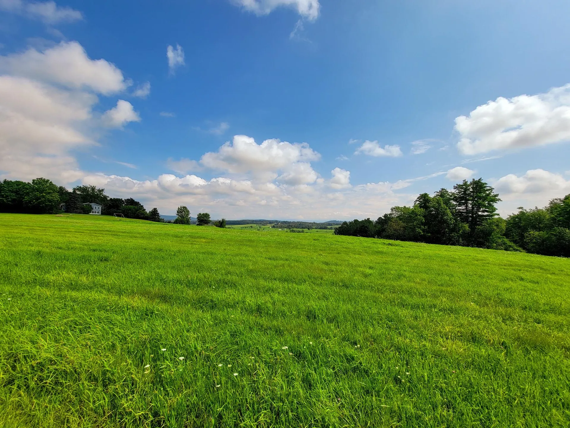 260 Sugar Hill Drive Bridport VT 05734
