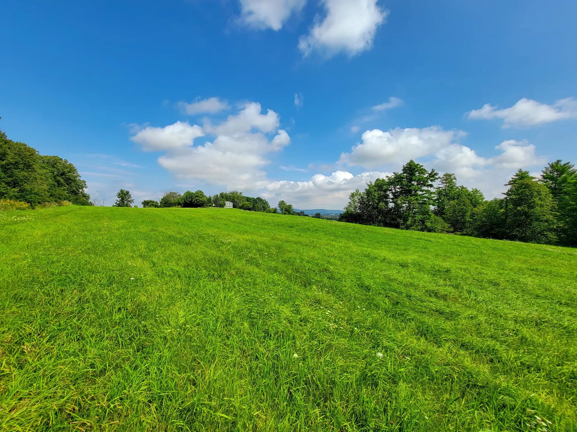 260 Sugar Hill Drive Bridport VT 05734