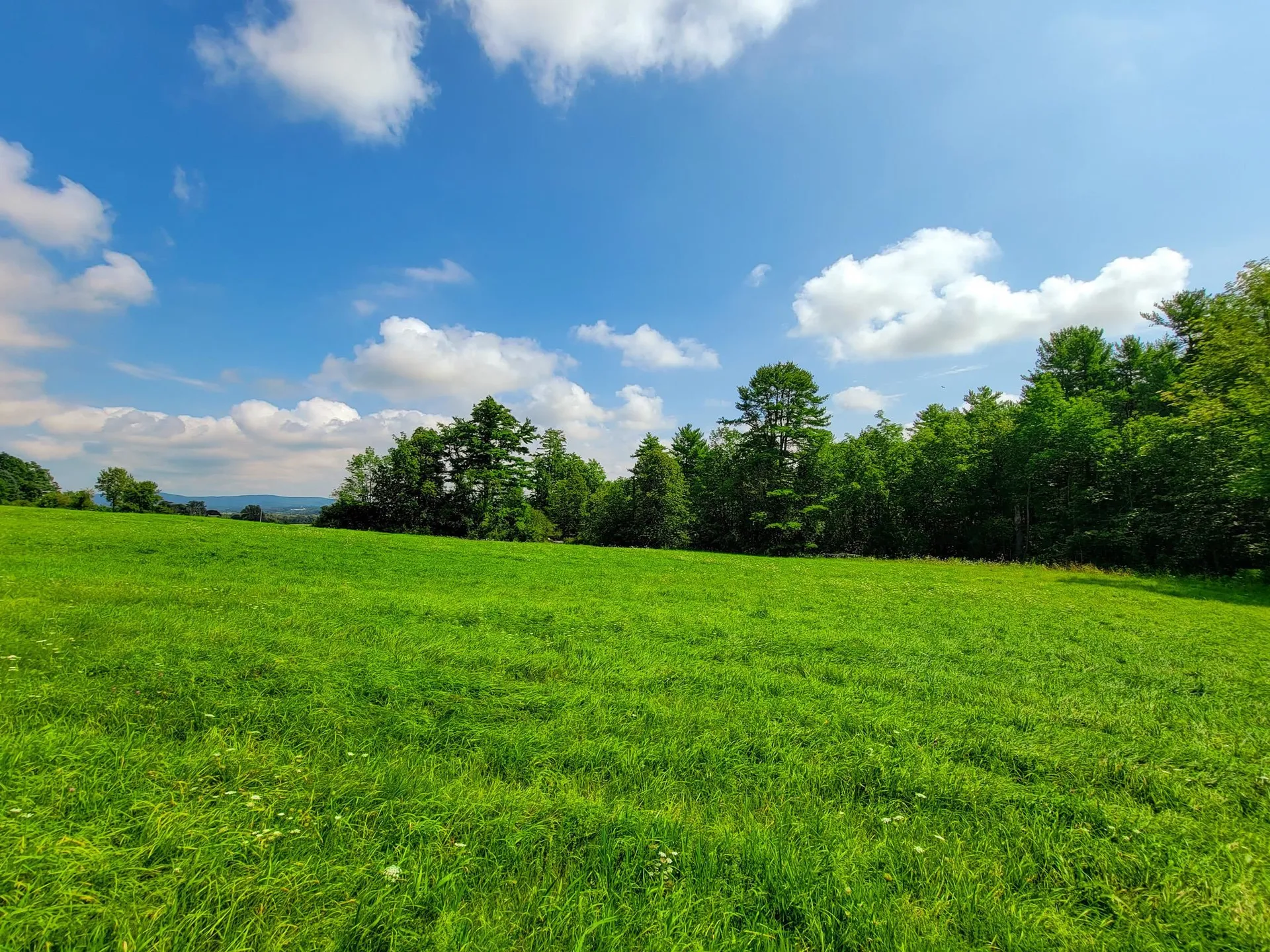260 Sugar Hill Drive Bridport VT 05734