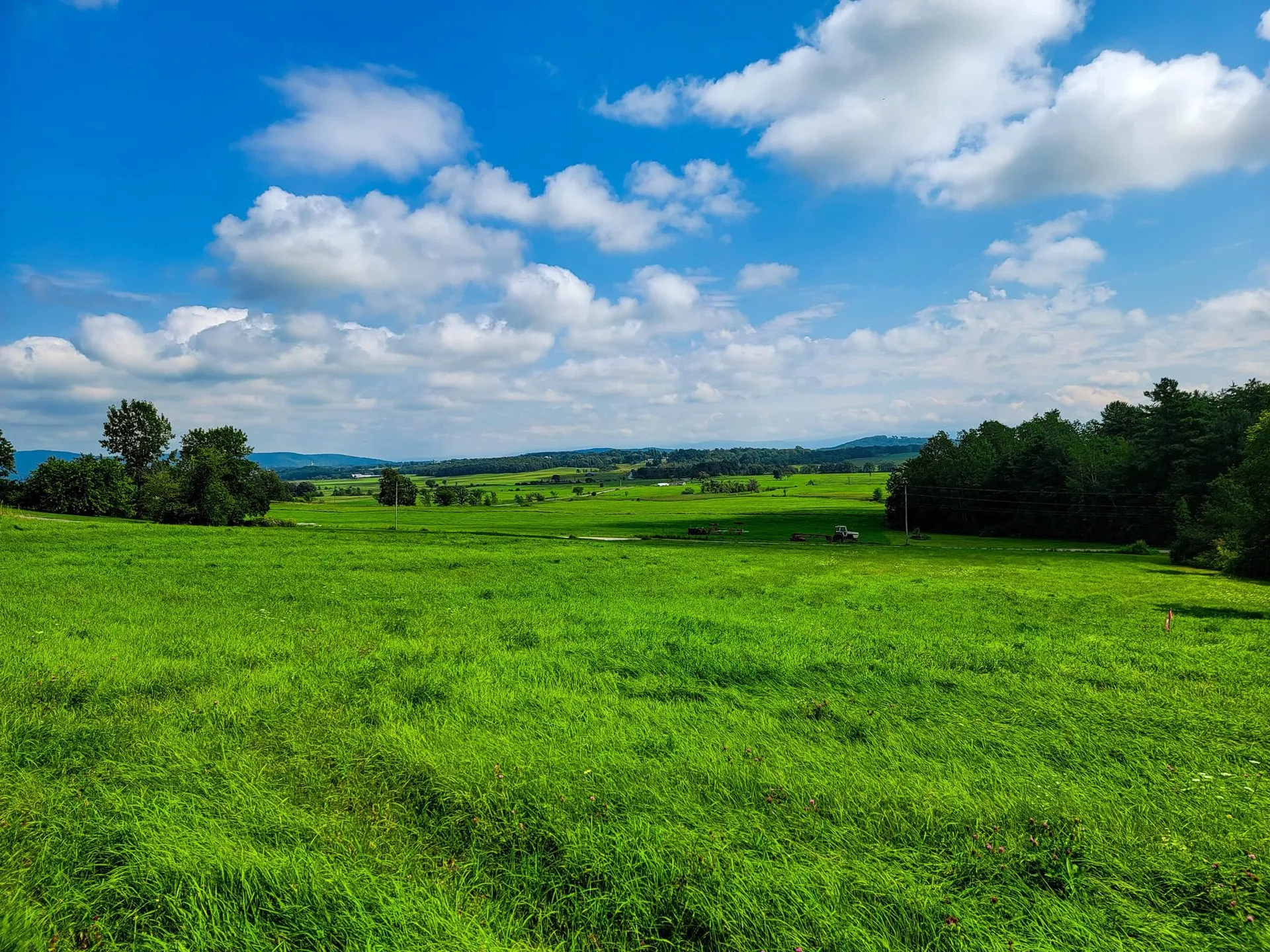 260 Sugar Hill Drive Bridport VT 05734