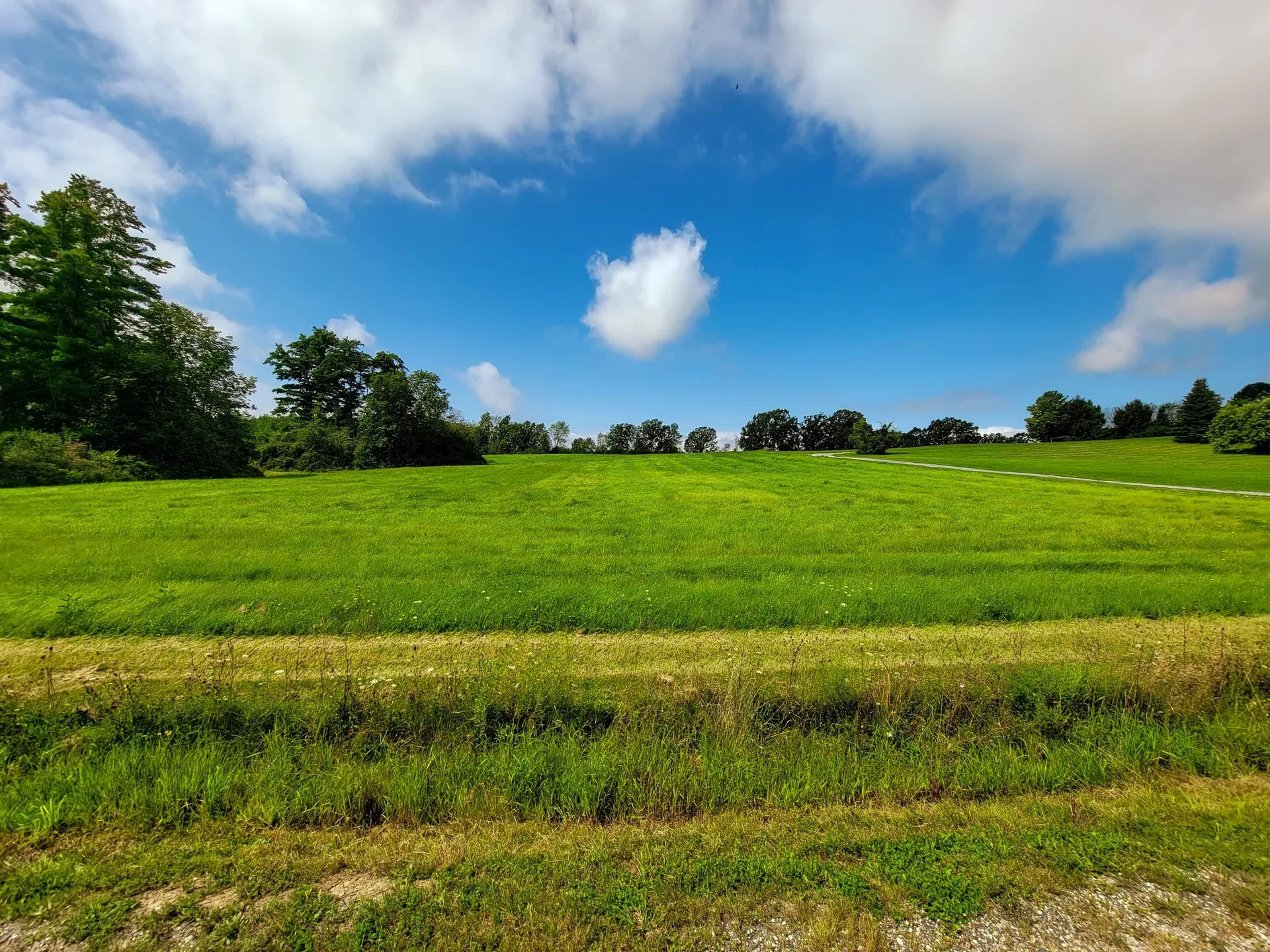 260 Sugar Hill Drive Bridport VT 05734