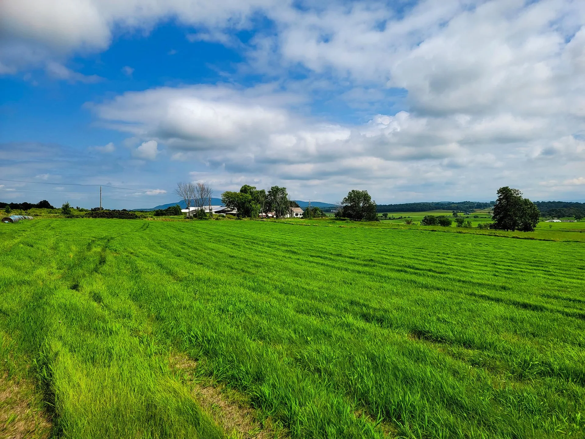 1545 Middle Road Bridport VT 05734