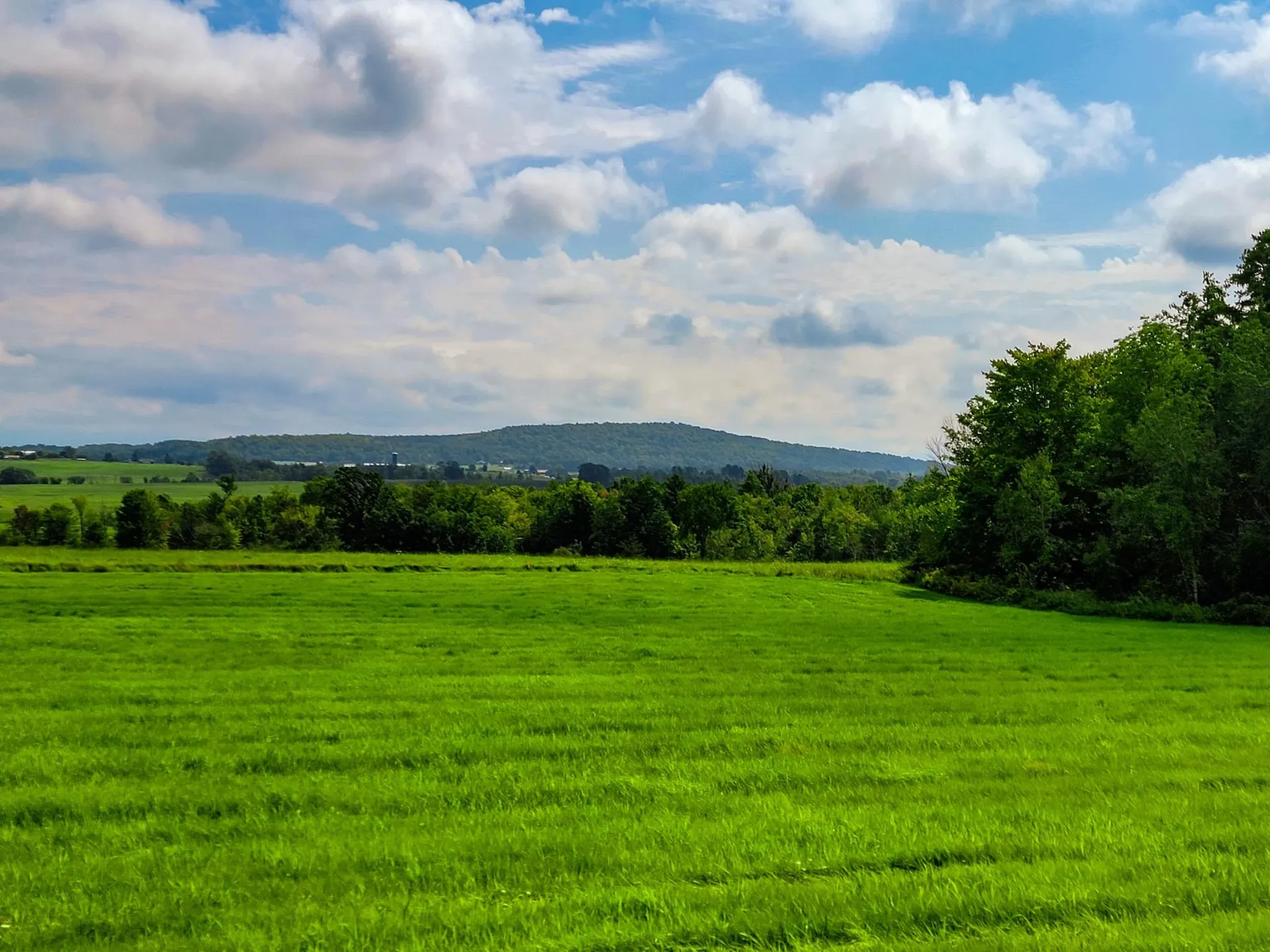 1545 Middle Road Bridport VT 05734