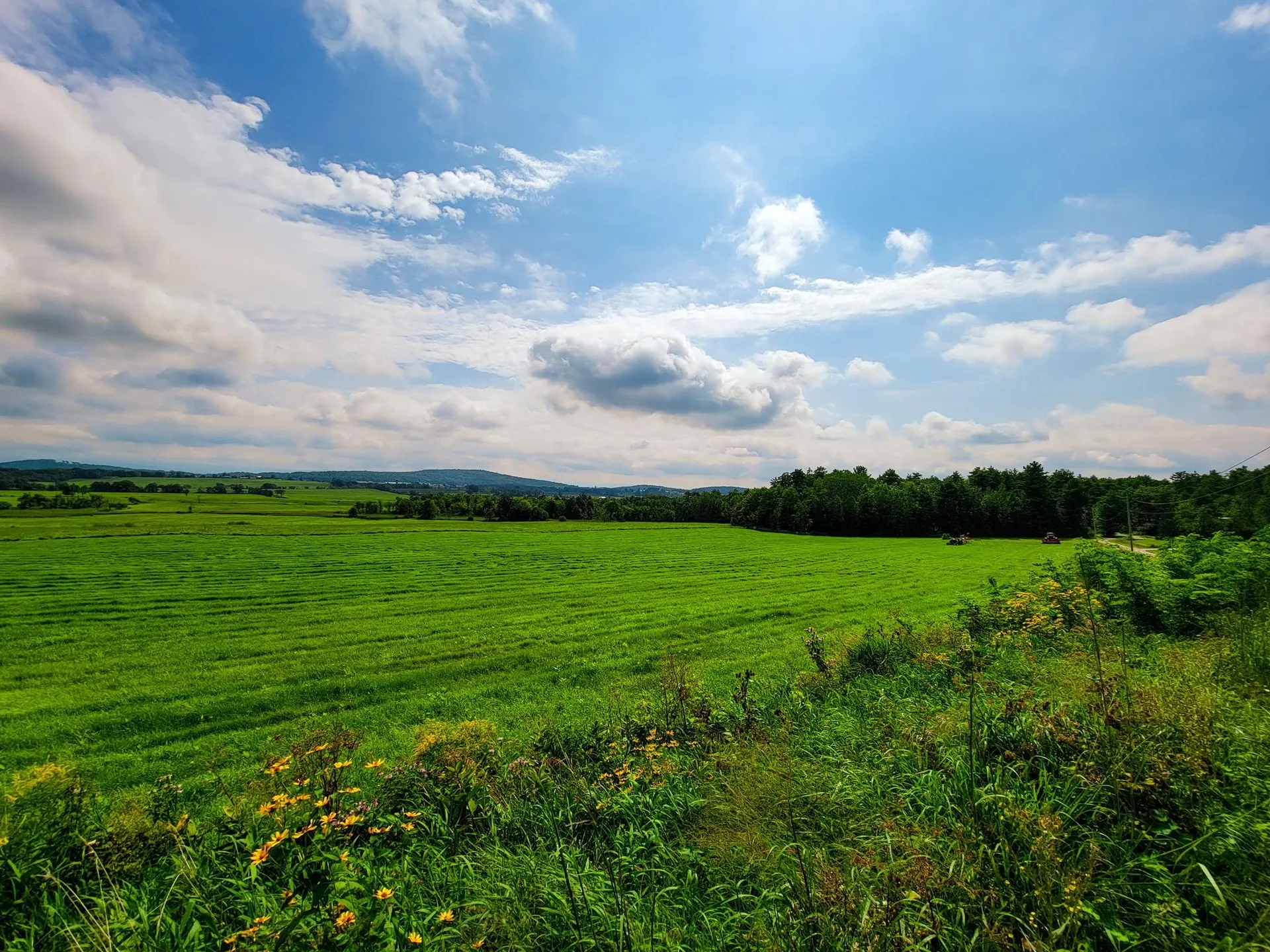 1545 Middle Road Bridport VT 05734