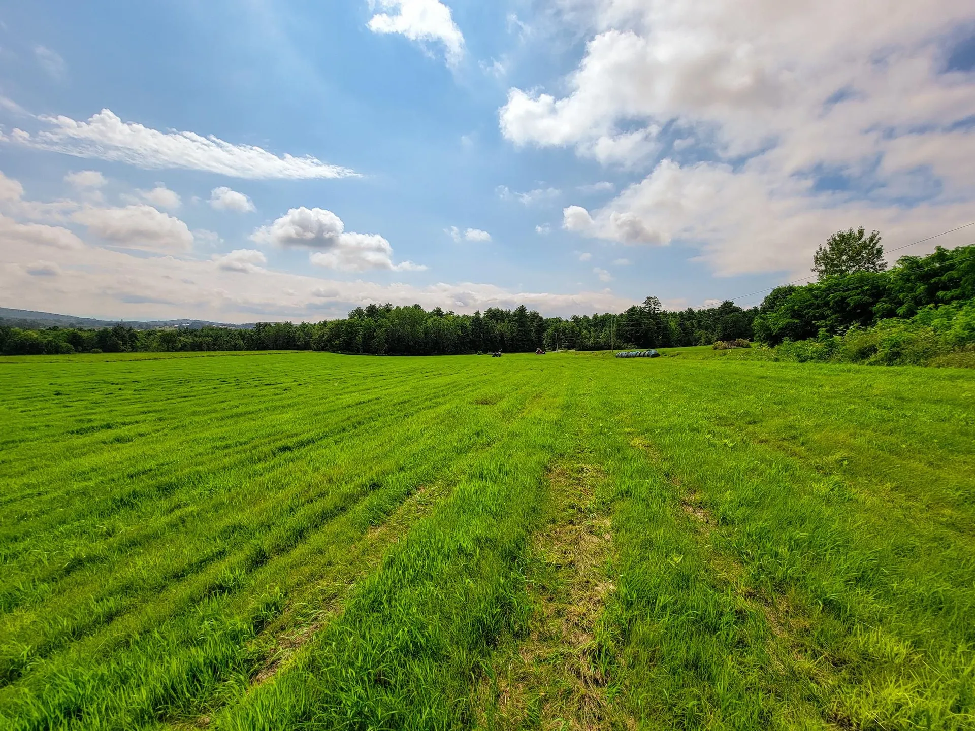 1545 Middle Road Bridport VT 05734