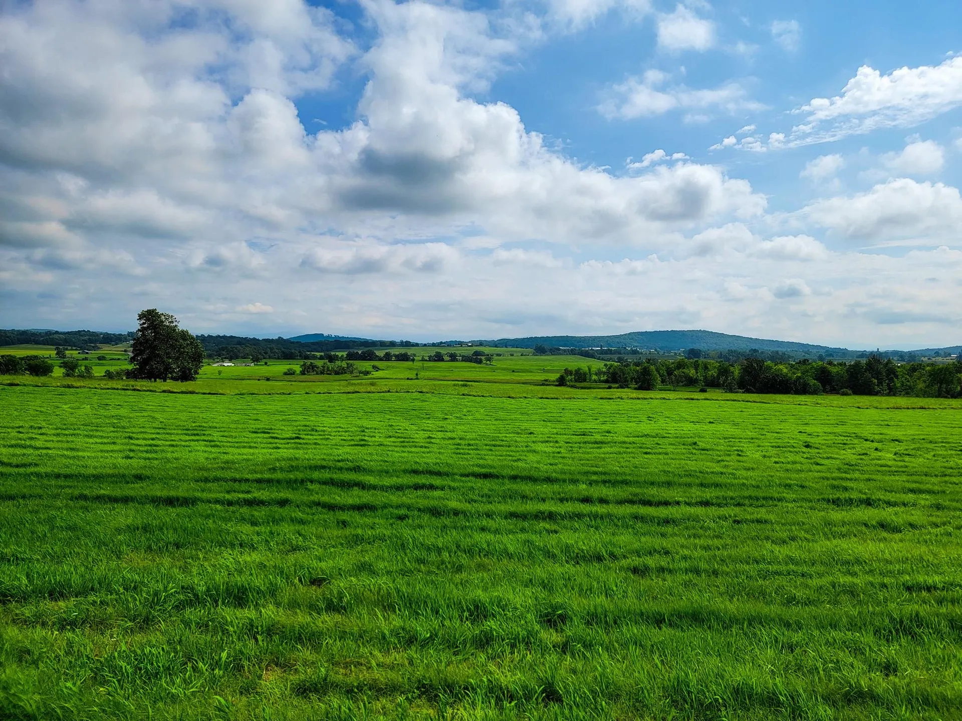 1545 Middle Road Bridport VT 05734