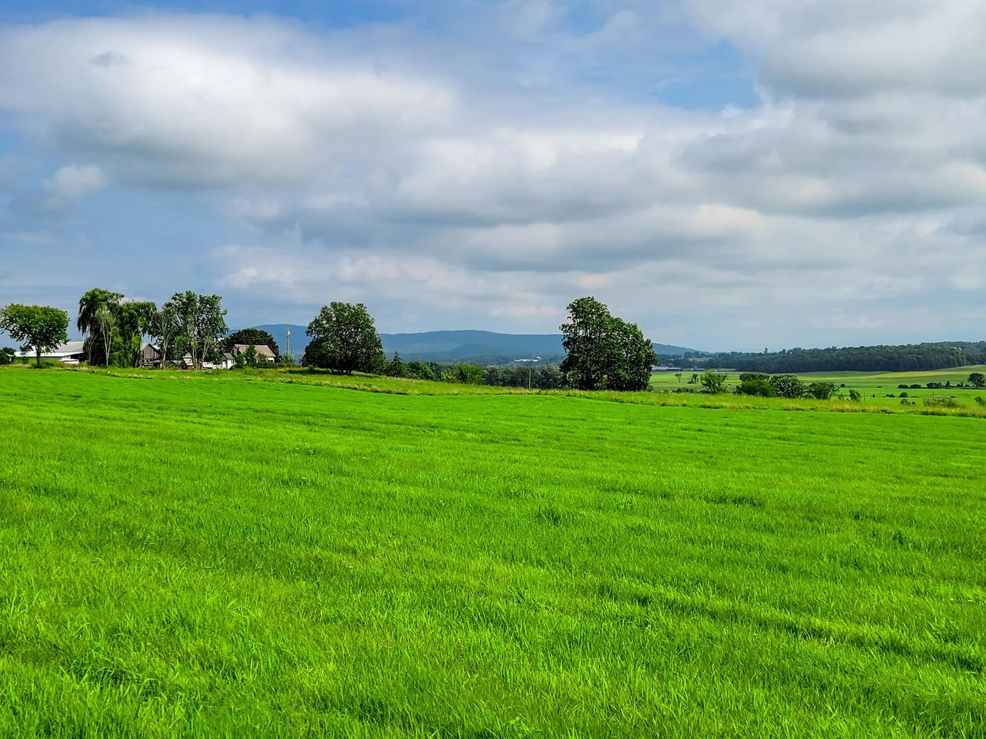 1545 Middle Road Bridport VT 05734