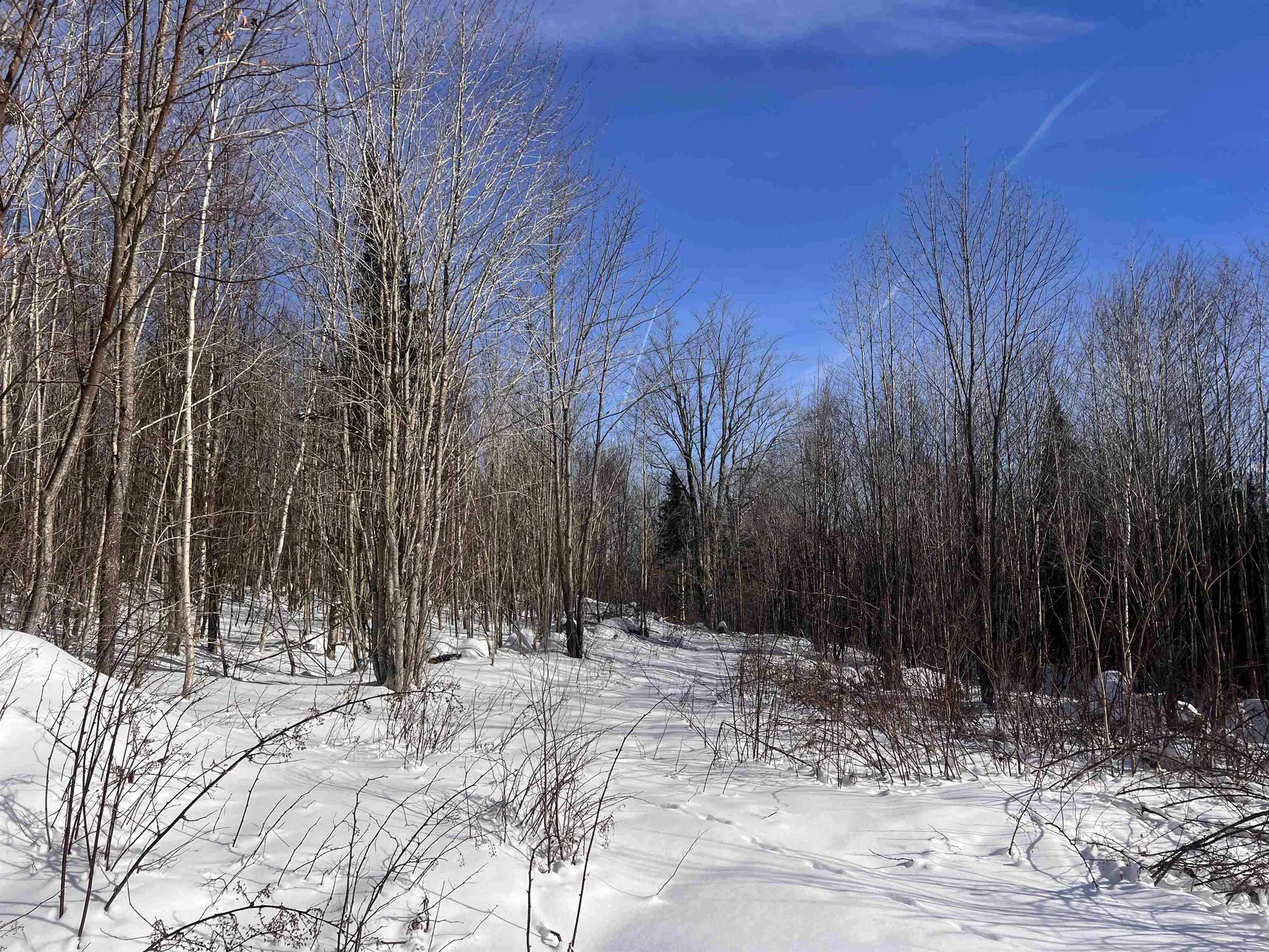 92.2 Kimball Road Lunenburg VT 05906