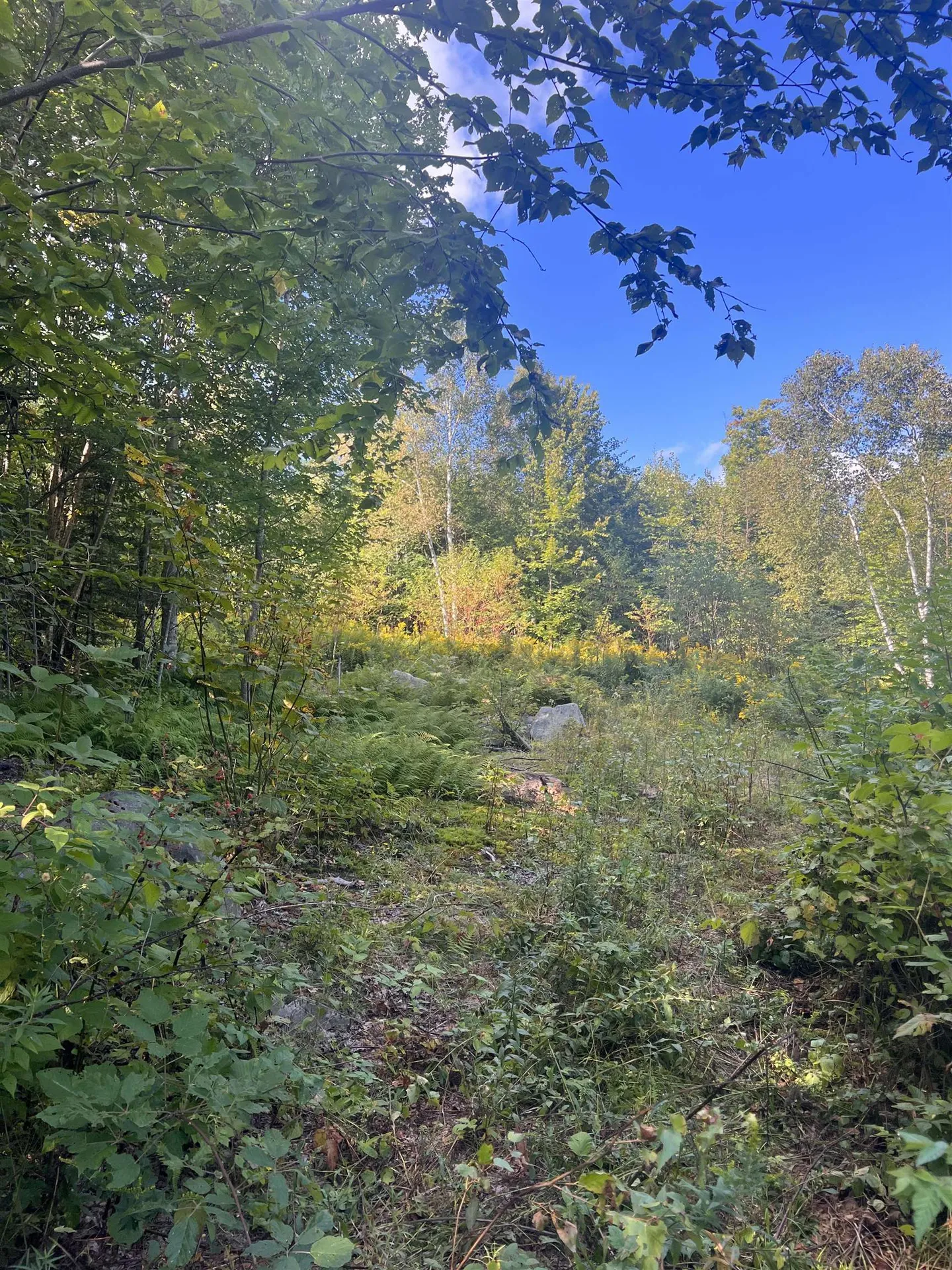 92.2 Kimball Road Lunenburg VT 05906