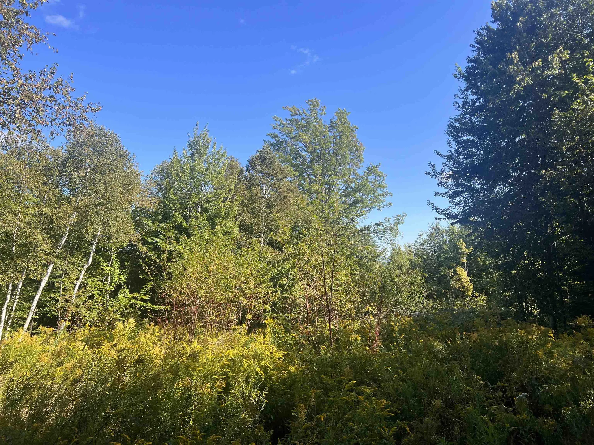 92.2 Kimball Road Lunenburg VT 05906