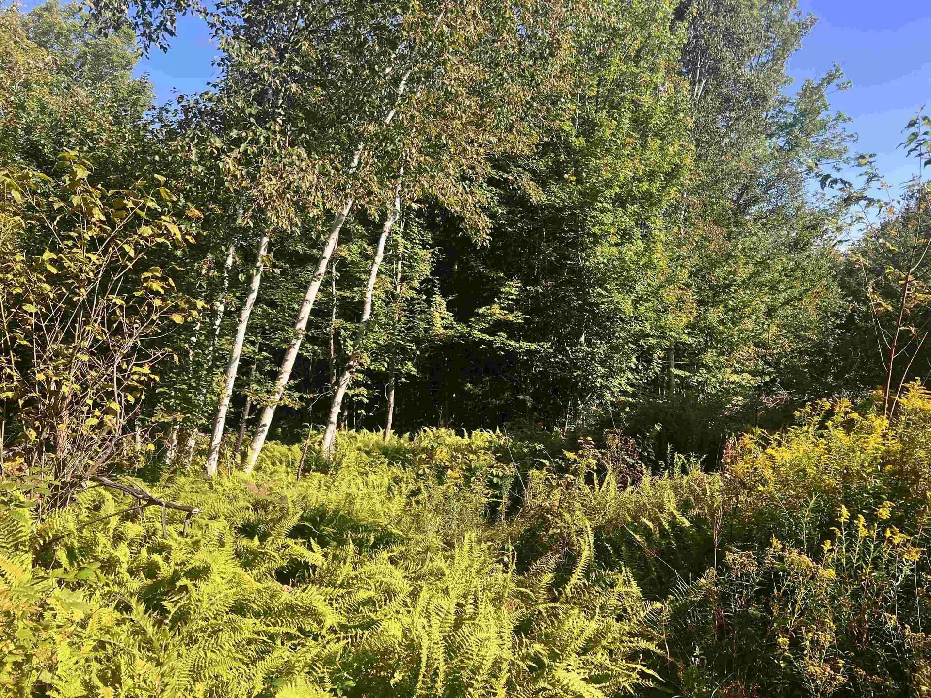 92.2 Kimball Road Lunenburg VT 05906