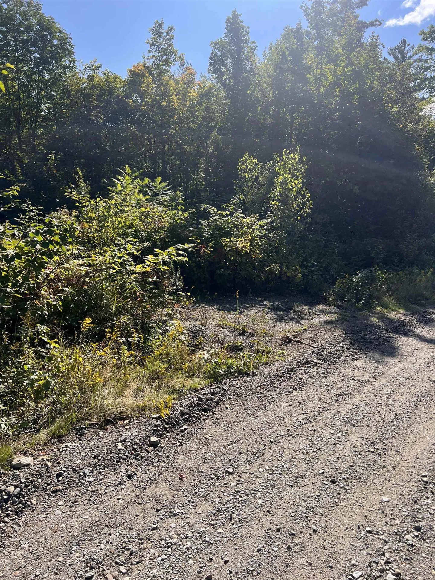 92.2 Kimball Road Lunenburg VT 05906