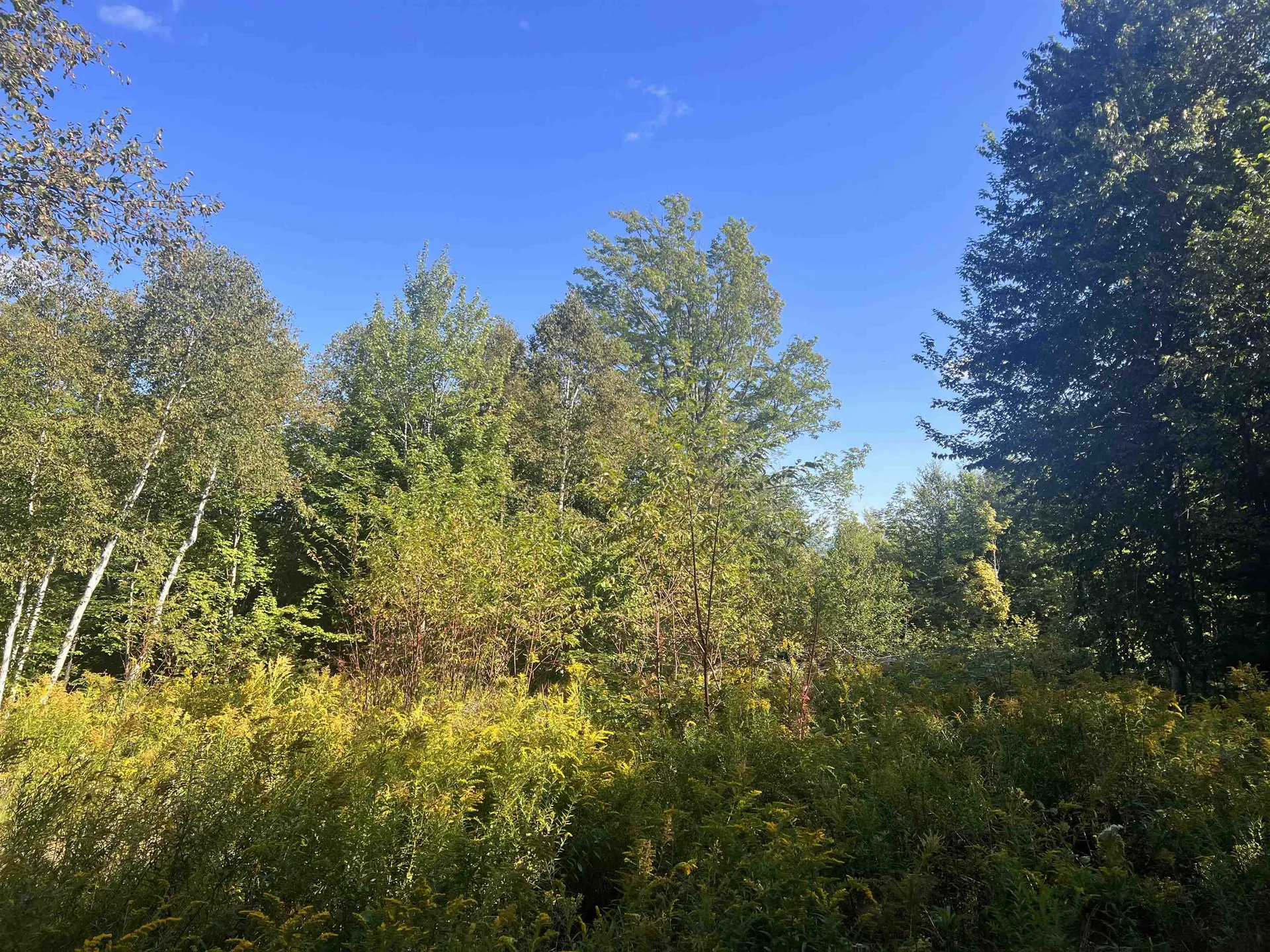 92.2 Kimball Road Lunenburg VT 05906