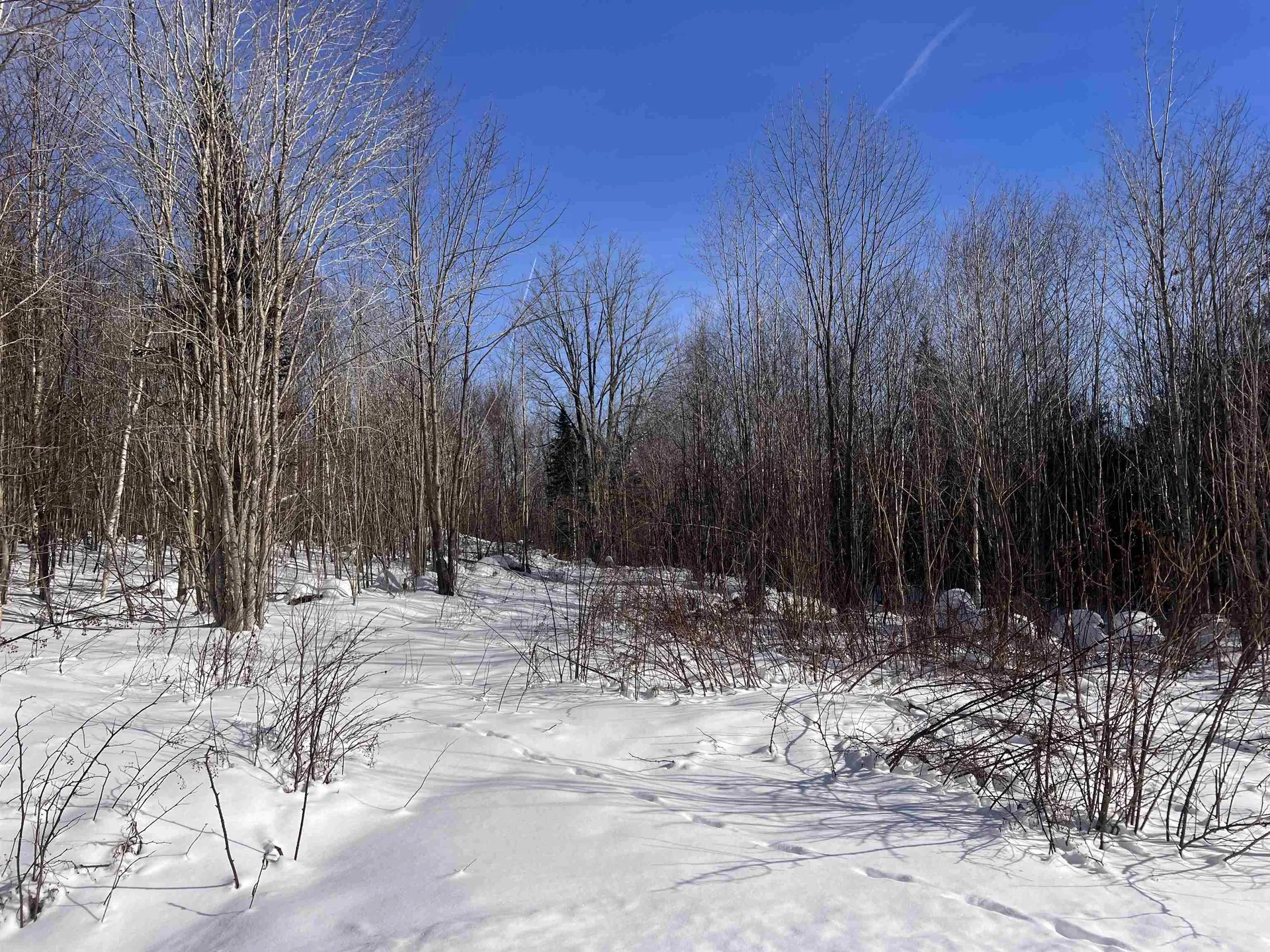 92.2 Kimball Road Lunenburg VT 05906