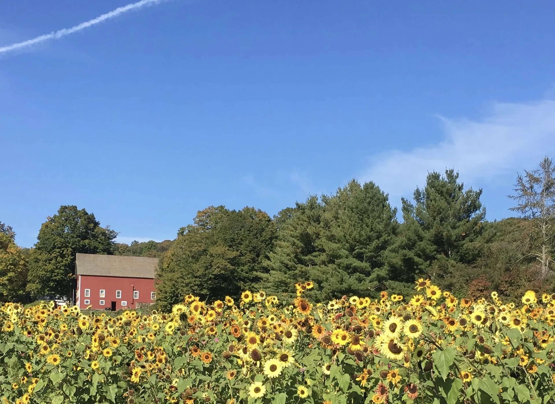 5798 South Road Woodstock VT 05071