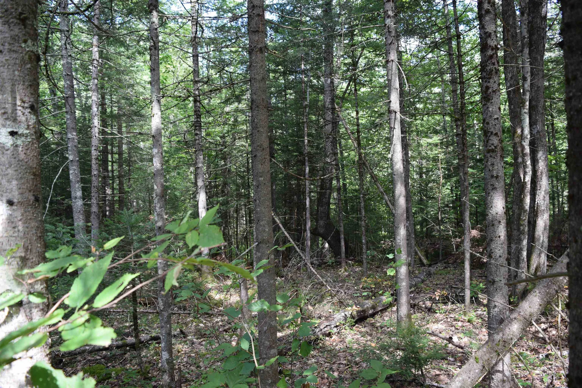 Lot 147 Valley Road Haverhill NH 03765