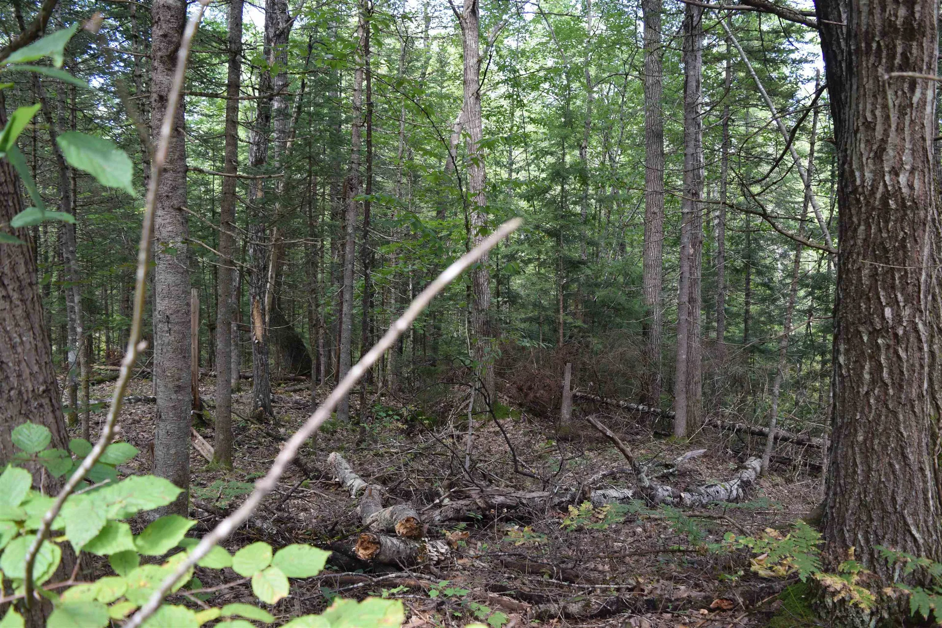 Lot 147 Valley Road Haverhill NH 03765