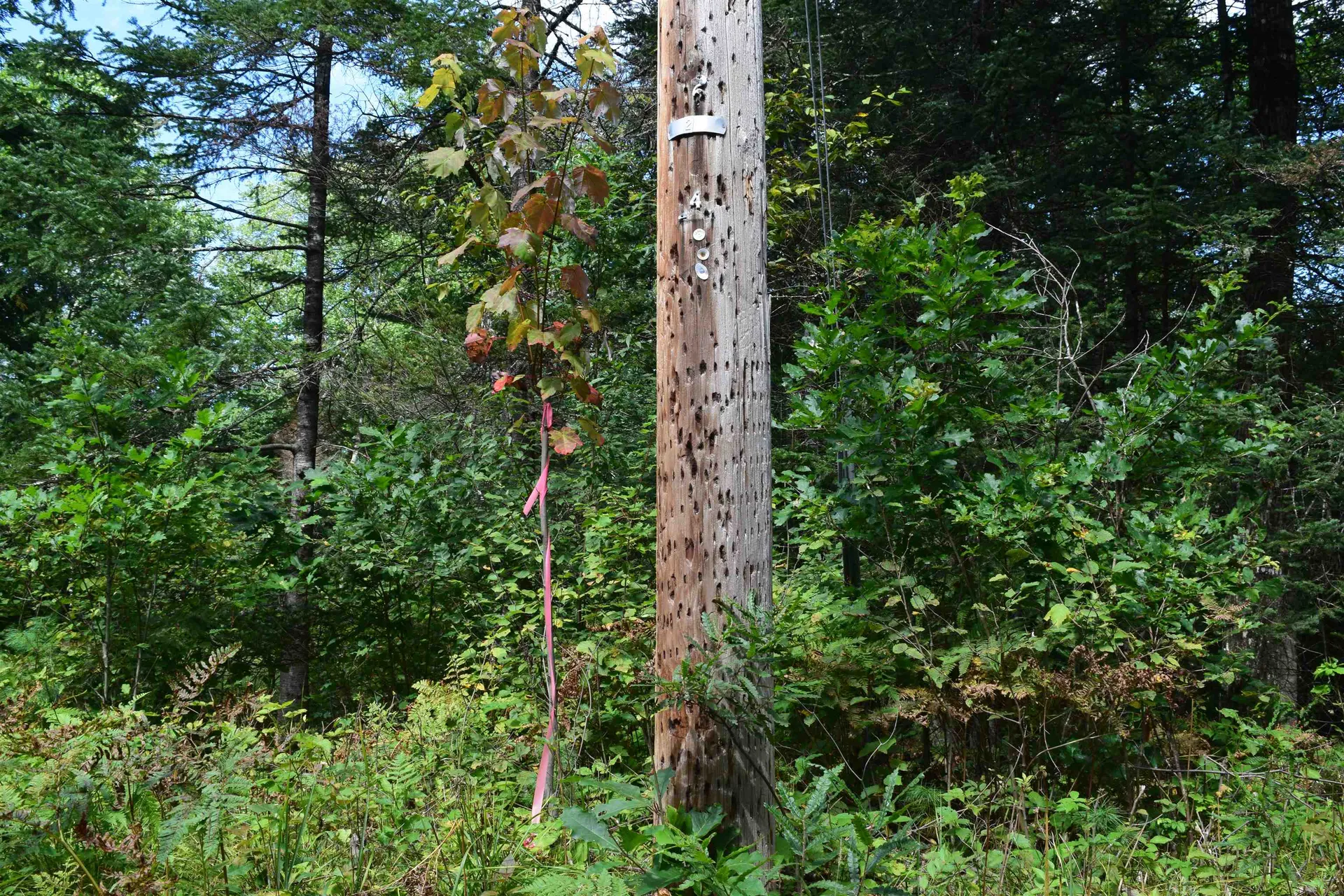 Lot 147 Valley Road Haverhill NH 03765