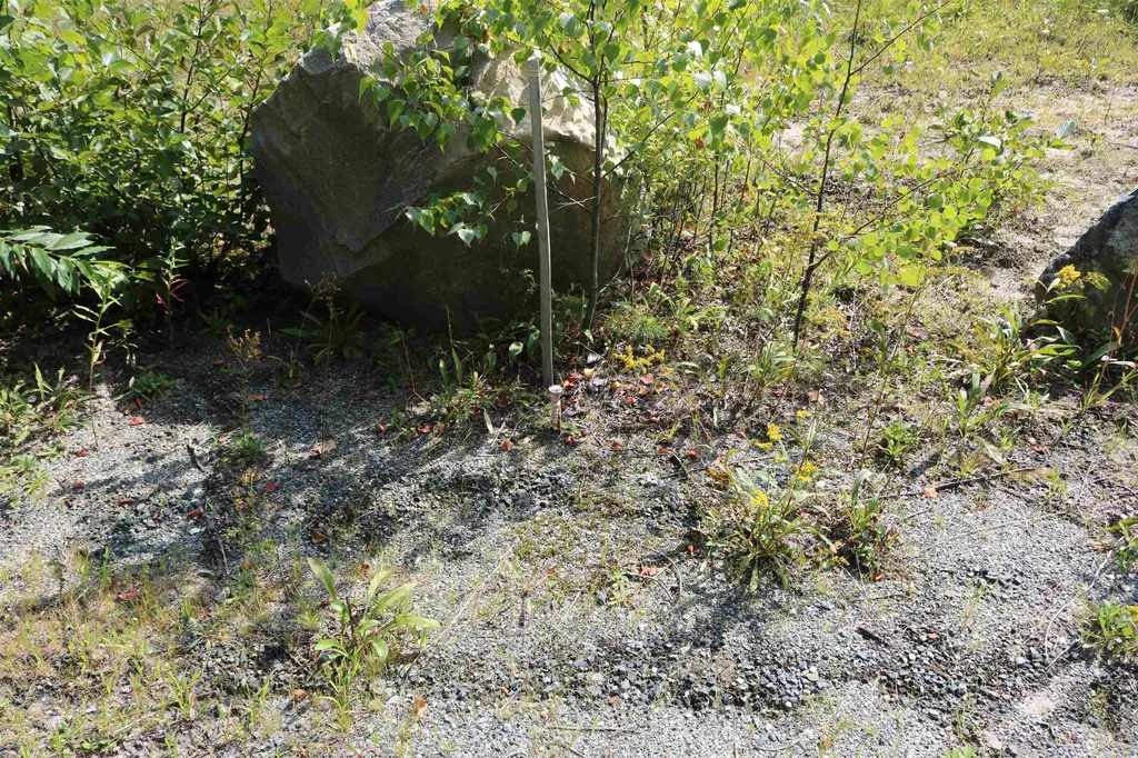 435 Bog Road Enfield NH 03748