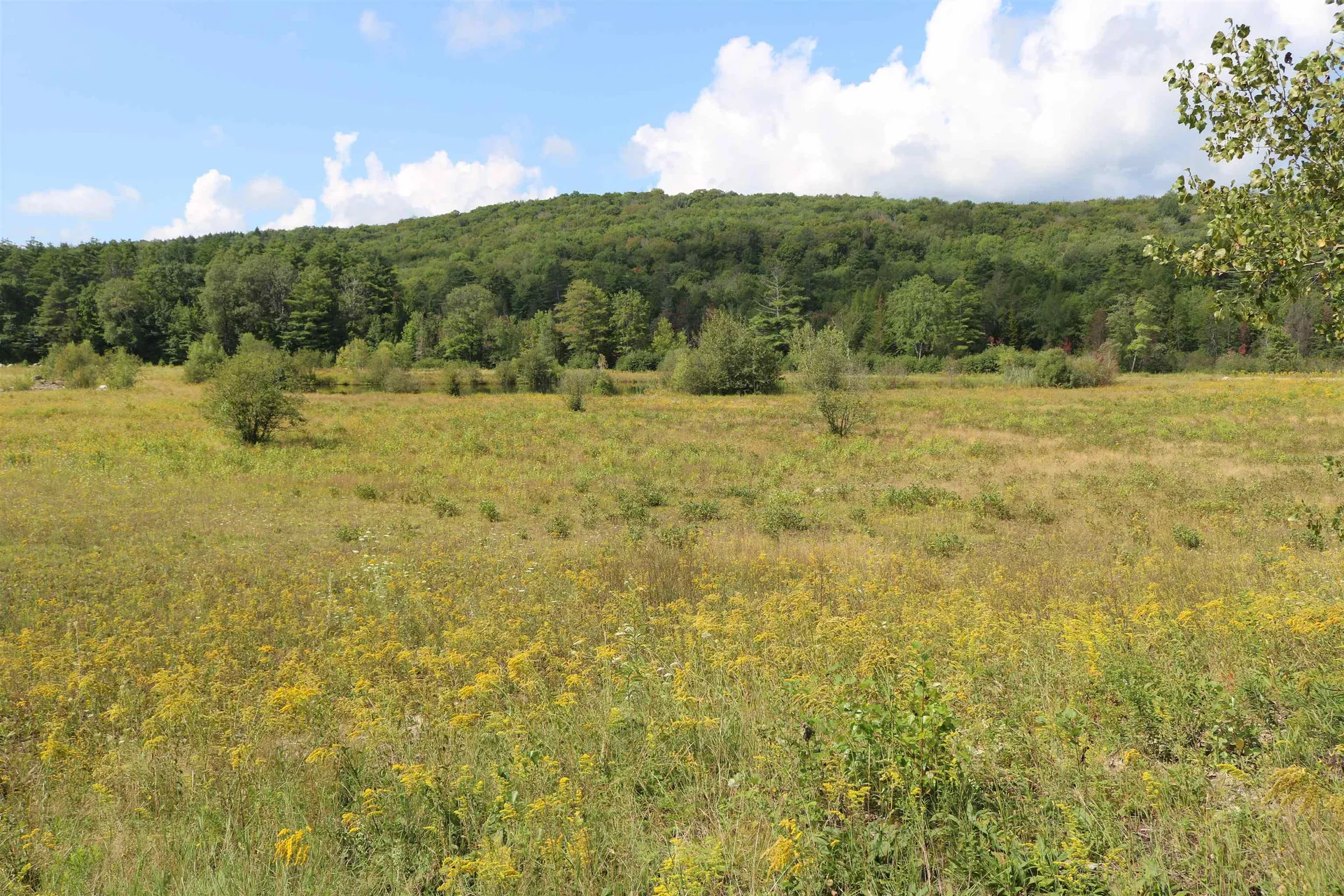 435 Bog Road Enfield NH 03748
