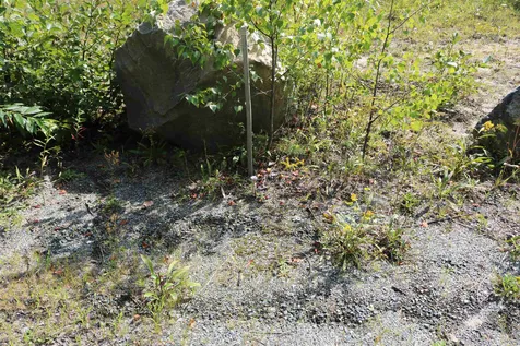 435 Bog Road Enfield NH 03748