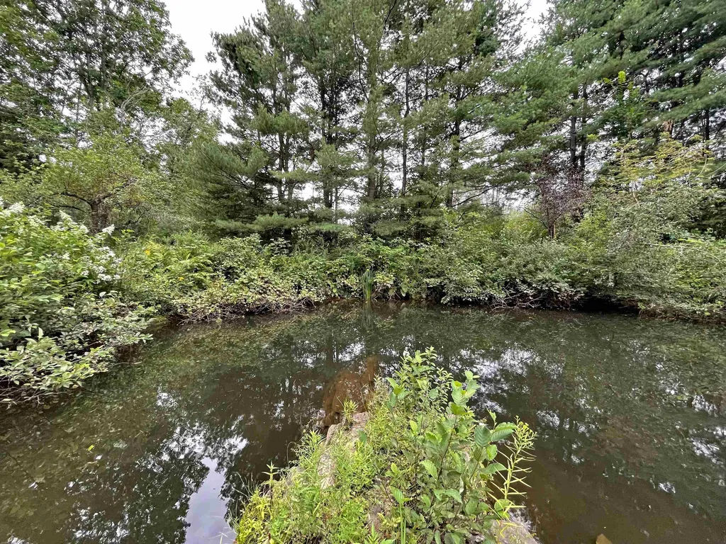 77 Deer Valley Road Townshend VT 05353