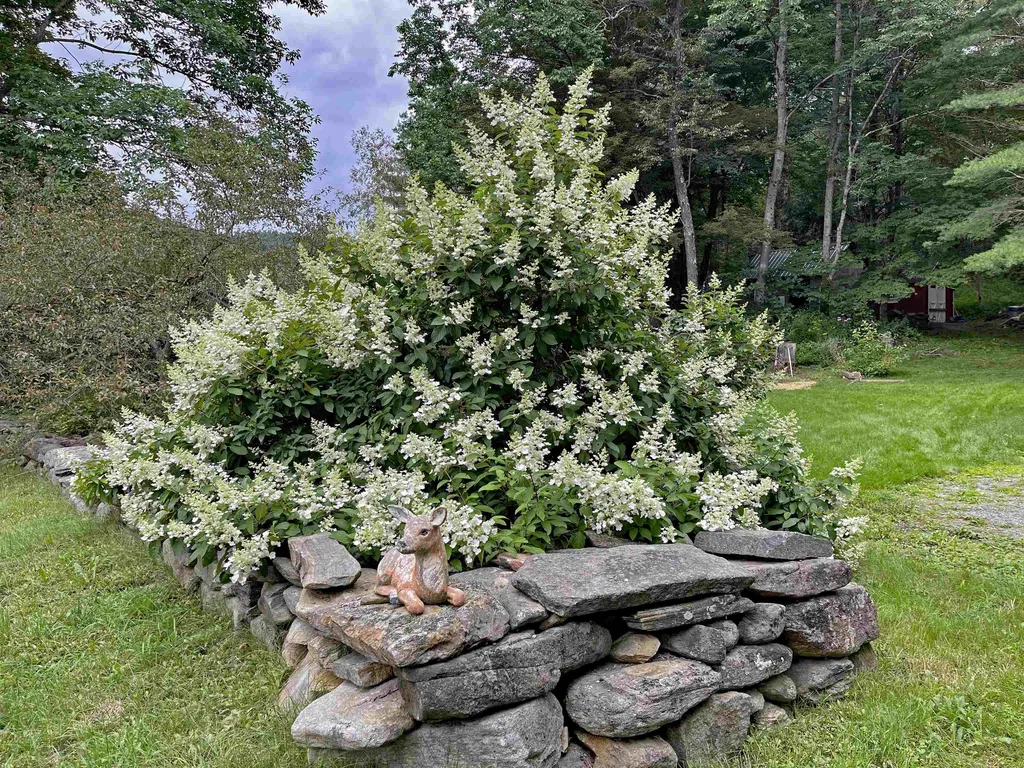 77 Deer Valley Road Townshend VT 05353