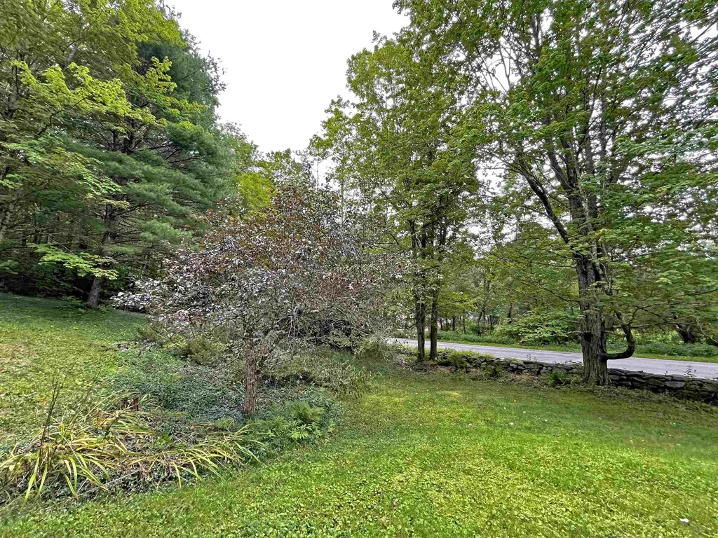 77 Deer Valley Road Townshend VT 05353