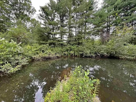 77 Deer Valley Road Townshend VT 05353