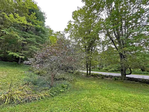 77 Deer Valley Road Townshend VT 05353