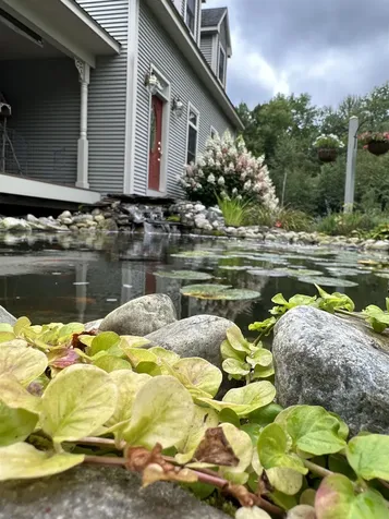 190 Gilbert Hart Lane Wallingford VT 05773