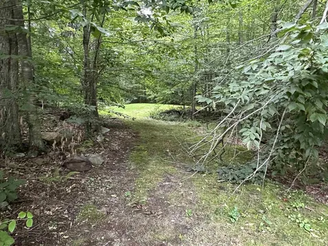 190 Gilbert Hart Lane Wallingford VT 05773