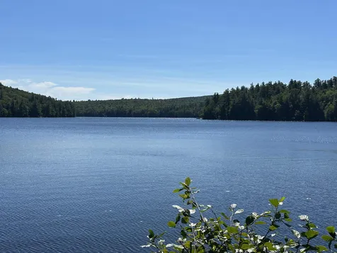 181 Gregg Lake Road Antrim NH 03440